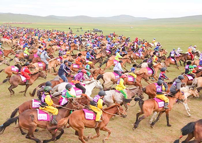 Horse Racing, Naadam Festival