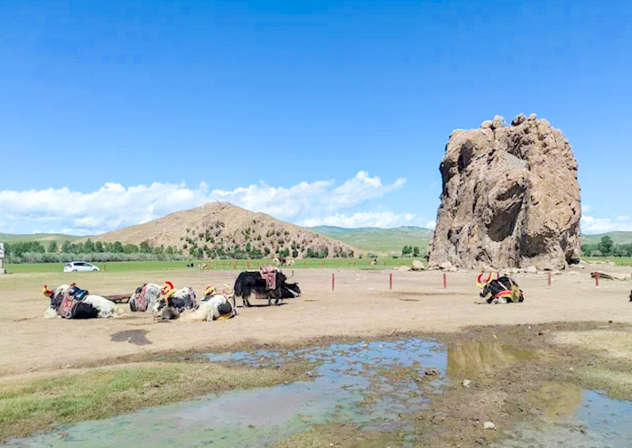 Taikhar Rock (also known as Taikhar Chuluu)