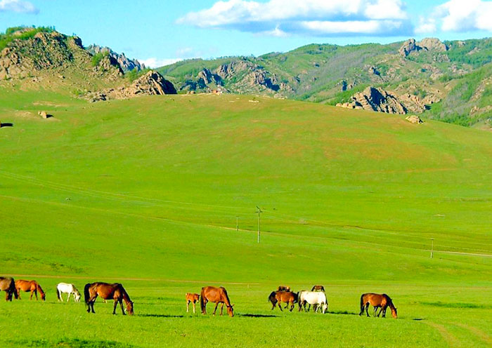 Horse Riding at Terelj National Park