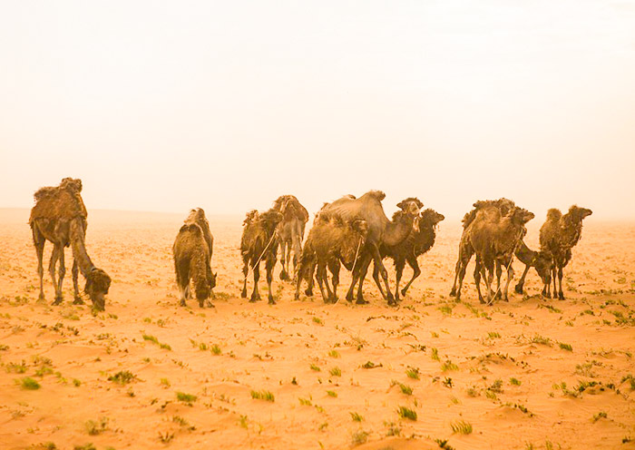 Tsagaan Suvarga, Mongolia