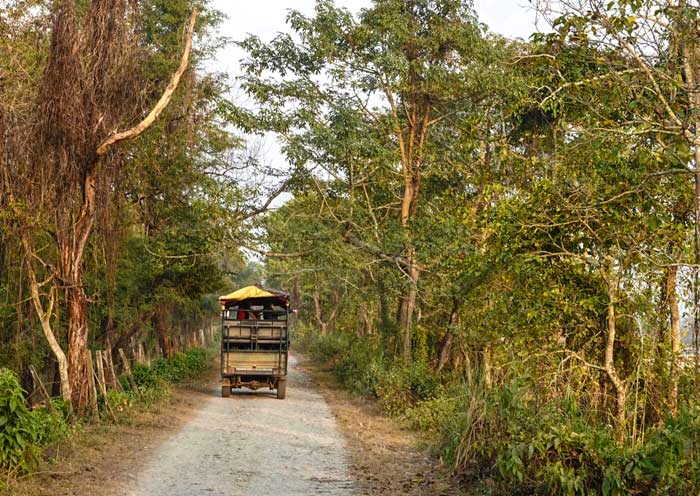 Jeep Safari, Chitwan National Park