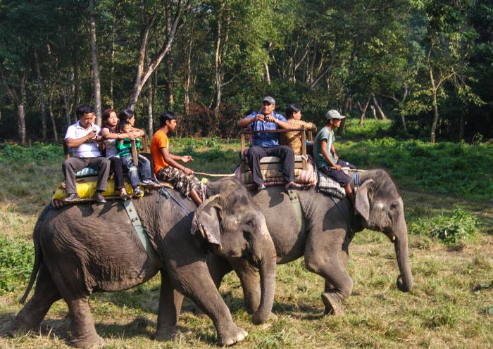 Elephant Riding, Chitwan