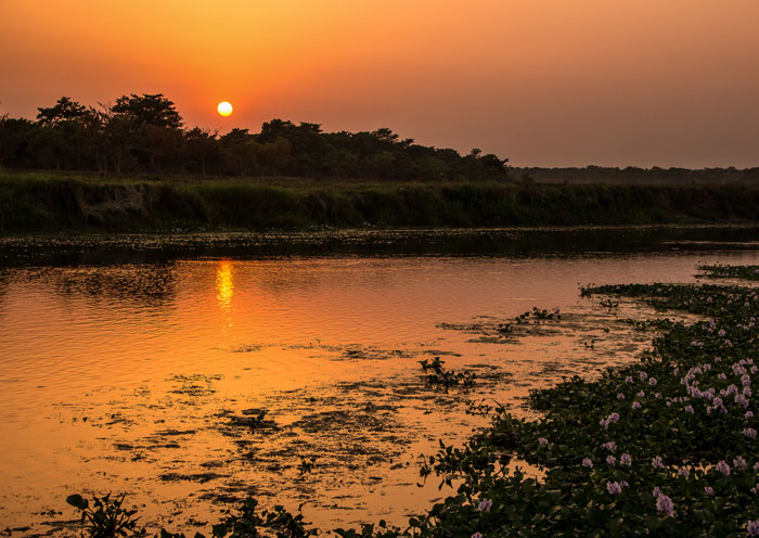 Sunset of Chitwan, Nepal Sunset of Chitwan, Nepal