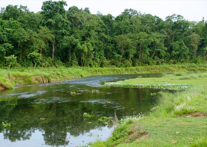 River side of Chitwan, Nepal