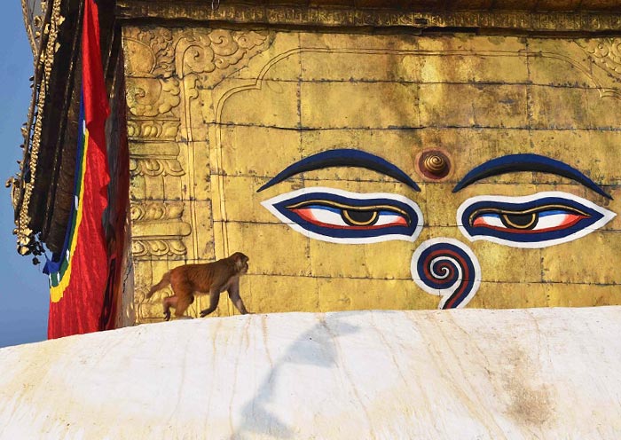 Kathmandu Swayambhunath Stupa