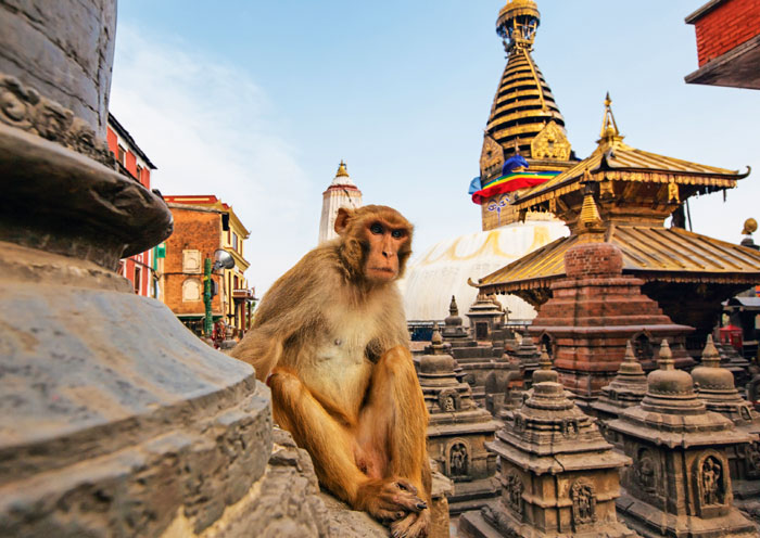 Kathmandu Swayambhunath Stupa