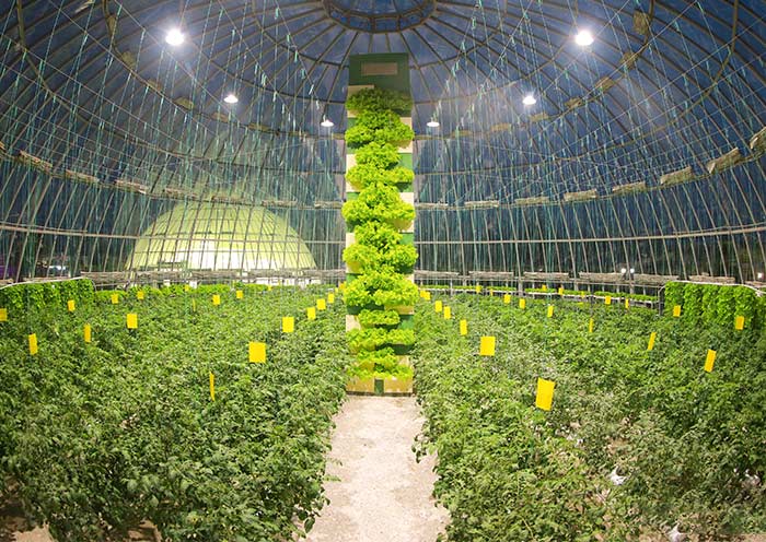 Greenhouse Farm, Pyongyang