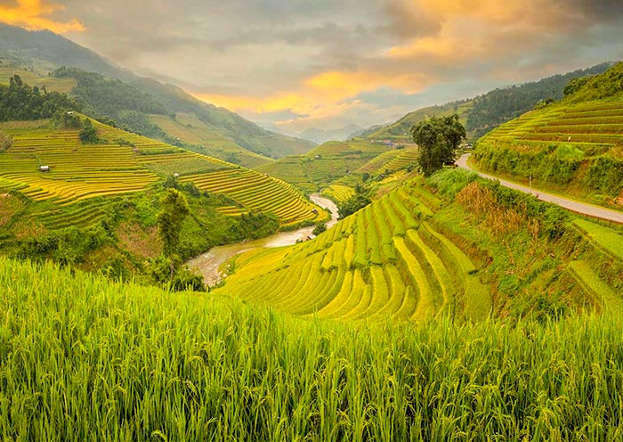 Banaue Rice Terraces