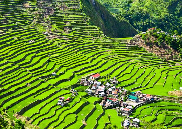 Batad Rice Terraces