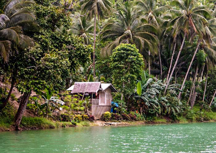 Loboc River Cruise, Bohol