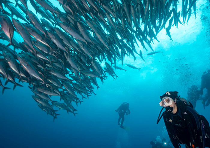 Bohol Napaling Reef