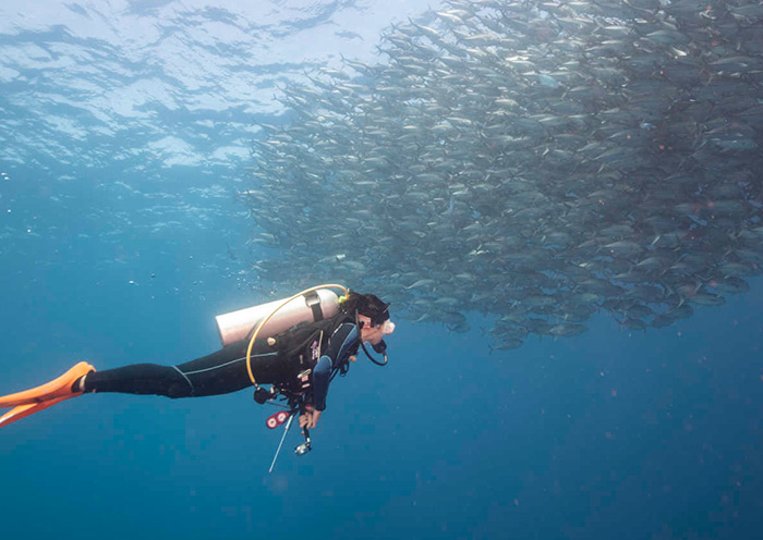 Bohol Napaling Reef