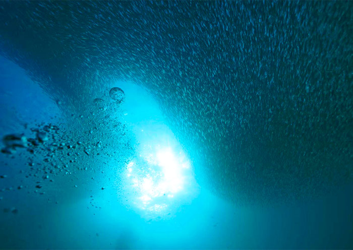 Sardine Run Experience at Napaling Reef Sardine Run Experience at Napaling Reef