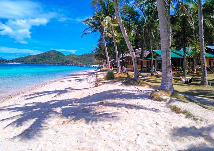 Take a Walk on Banana Island