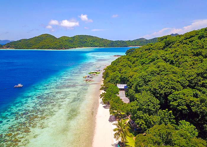 Picturesque Banana Island in Coron