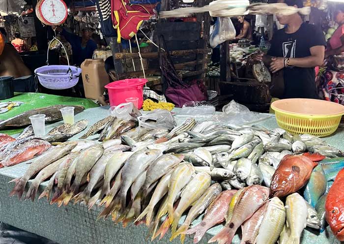 Coron Market