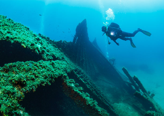 Coron Skeleton Wreck