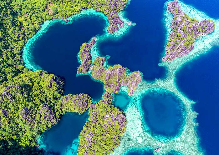 Twin Lagoon, Coron