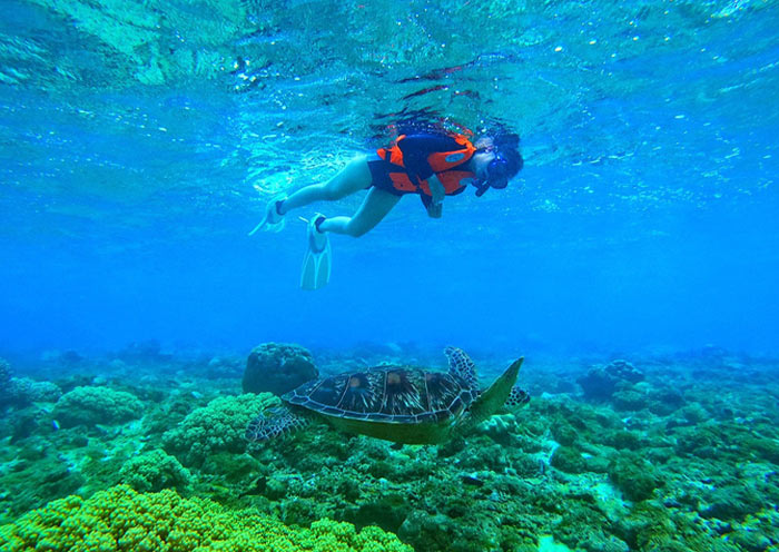 Dumaguete Apo Island