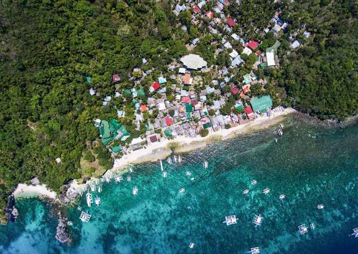 Apo Island, Dumaguete
