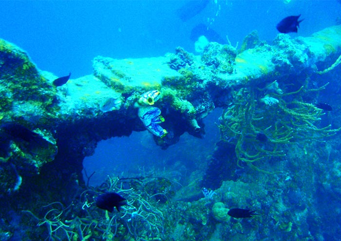 Lusong Gunboat, Coron