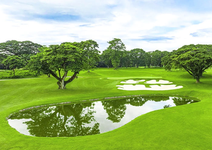 Mimosa Plus Golf Course Acacia Hole 11