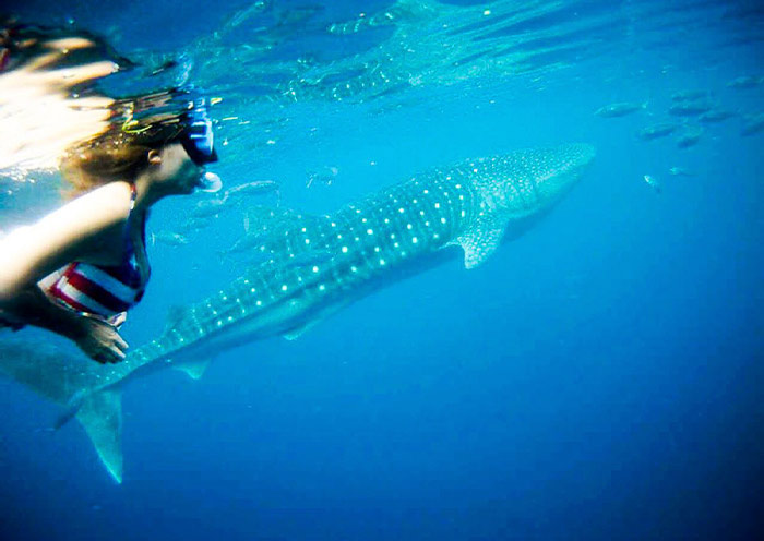 Cebu Tours 