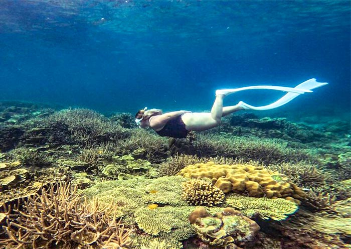 Twin Reef near Port Barton, Palawan