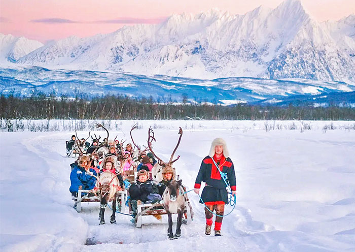 Reindeer Experience at Saami Village