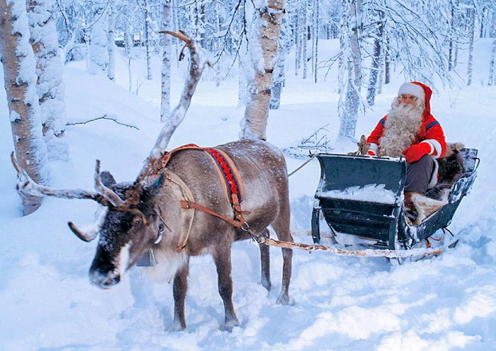 Reindeer Sledding at Saami Village