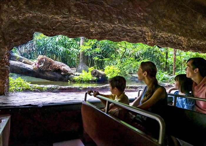 Amazon River Quest Boat Ride