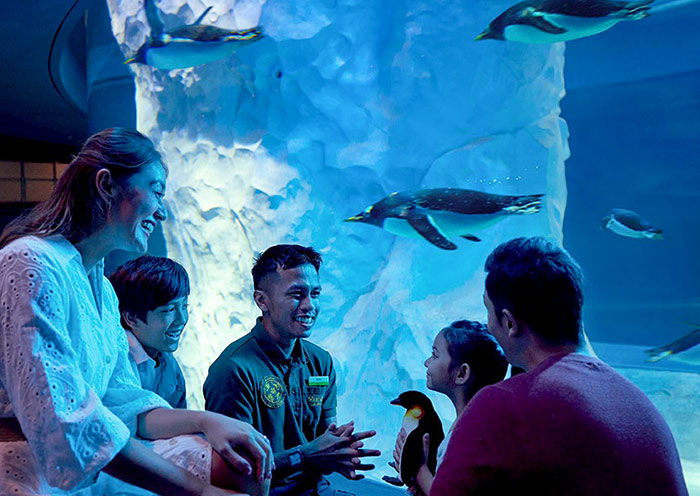 Penguin Keeper Talk, Bird Paradise