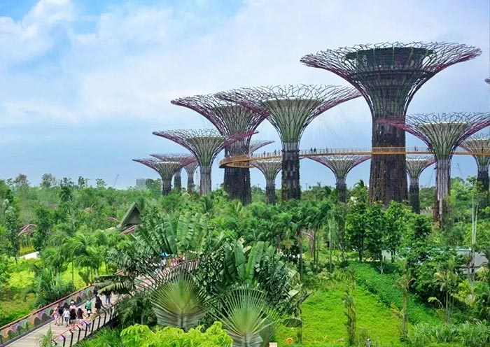 Supertree Grove, Gardens by the Bay 