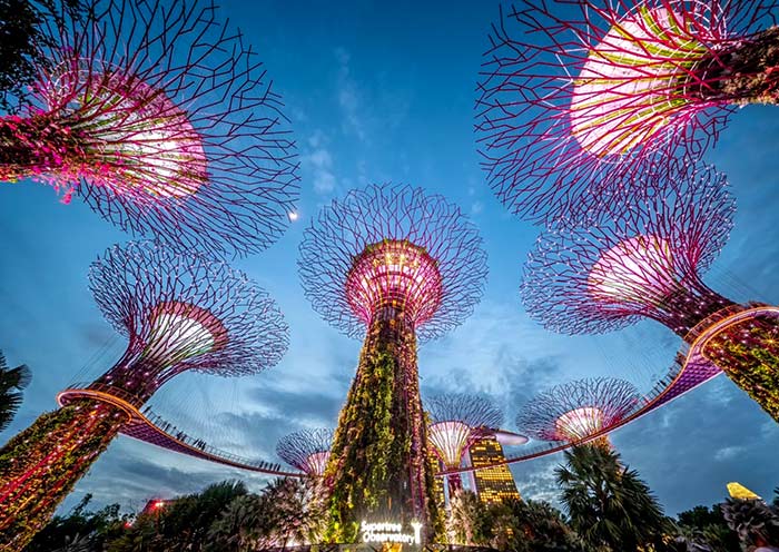 Light Show at Supertree Grove, Gardens by the Bay 