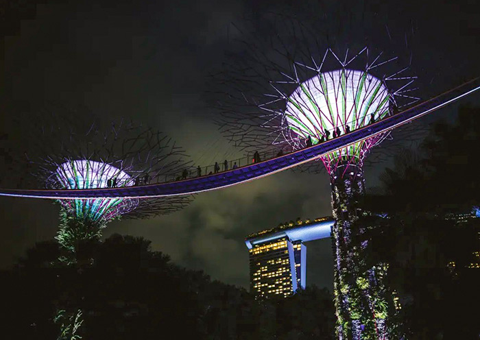 Supertree Grove Light Show, Singapore