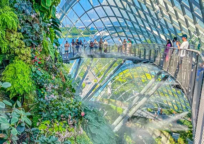 Cloud Forest, Gardens by the Bay
