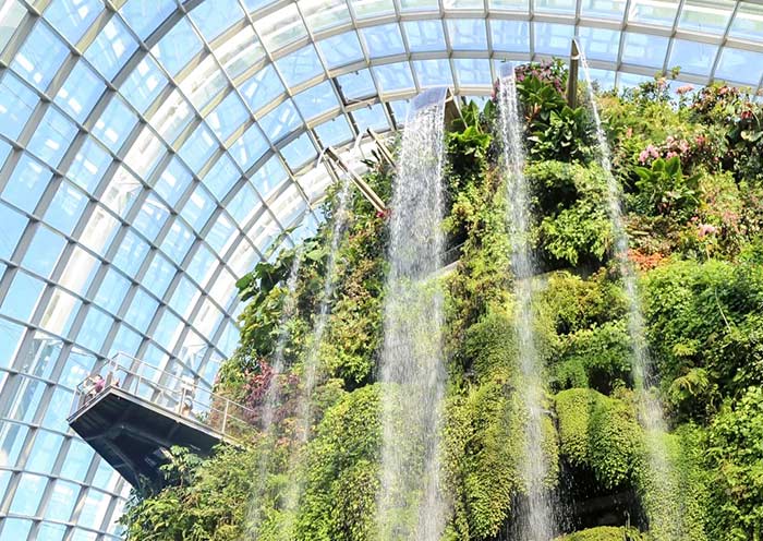 35-meter Indoor Waterfall, Cloud Forest