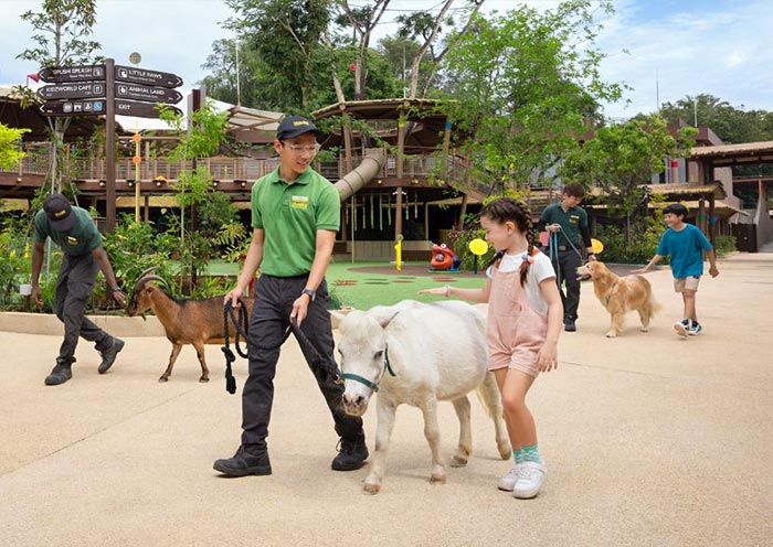 Singapore Family Tours