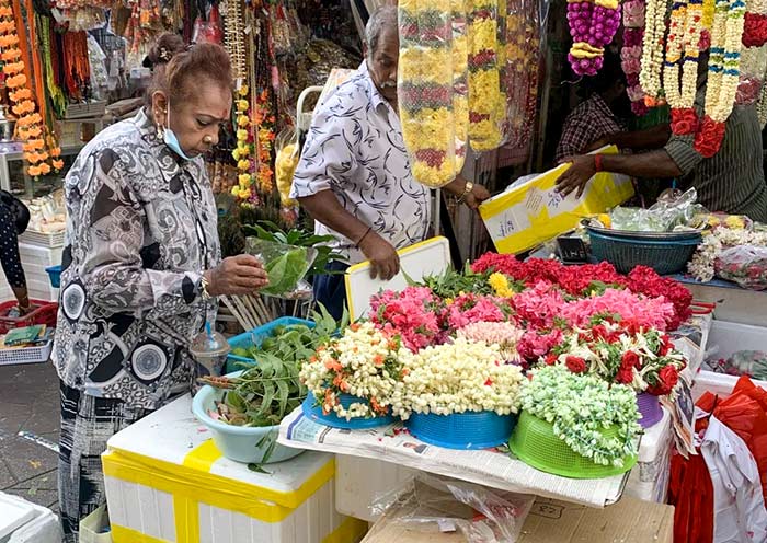 Jasmine and Other Flowers, Little India