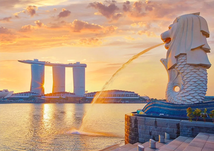 Capture the Sunrise at Merlion Park