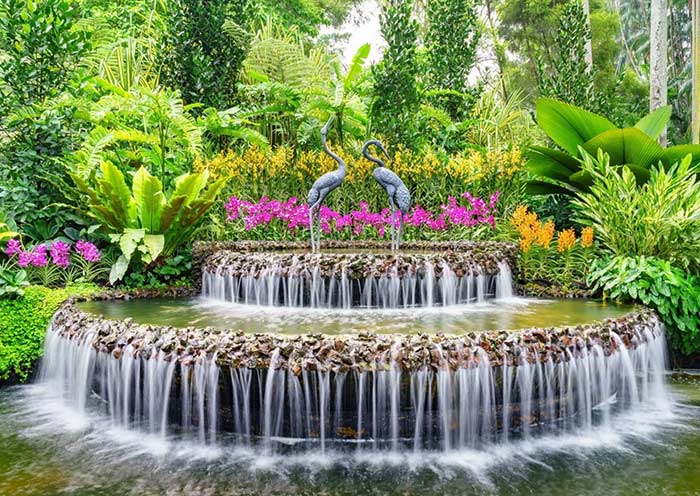 Cute Waterfall inside National Orchid Garden