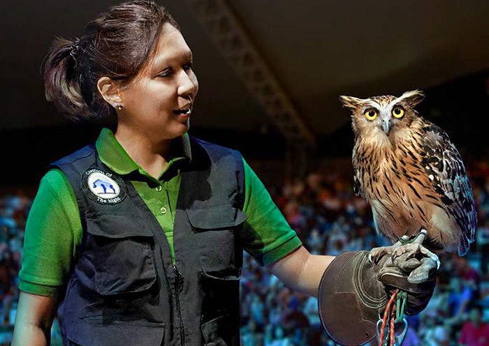 Creatures of the night, Night Safari