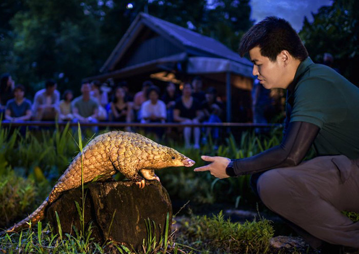 Keepers Chit Chat, Night Safari