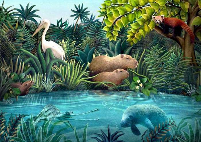 Star Animals in River Wonders 