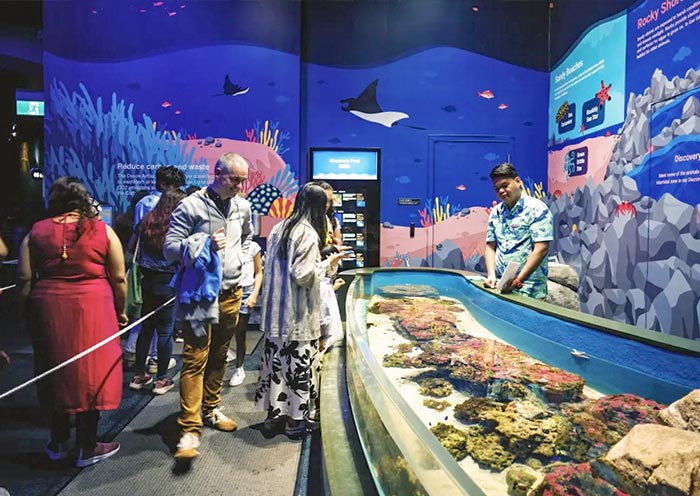 Visit S.E.A. Aquarium, Singapore Visit S.E.A. Aquarium, Singapore