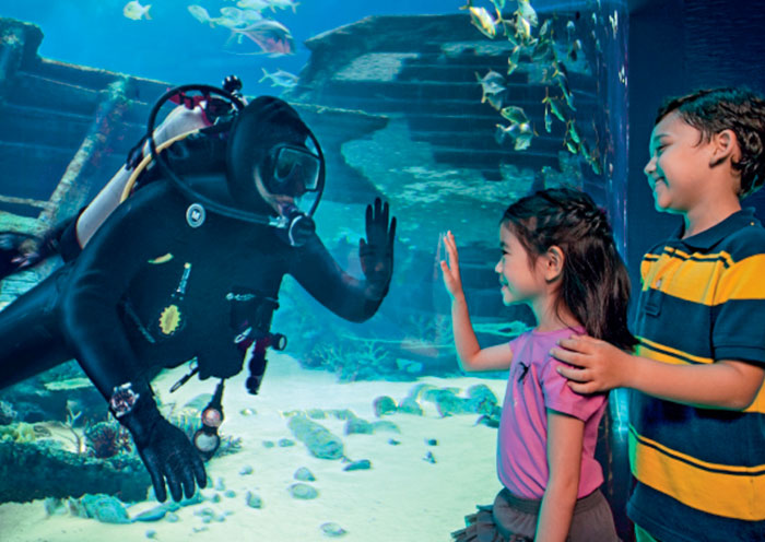 Sea Aquarium, Sentosa Singapore Sea Aquarium, Sentosa Singapore