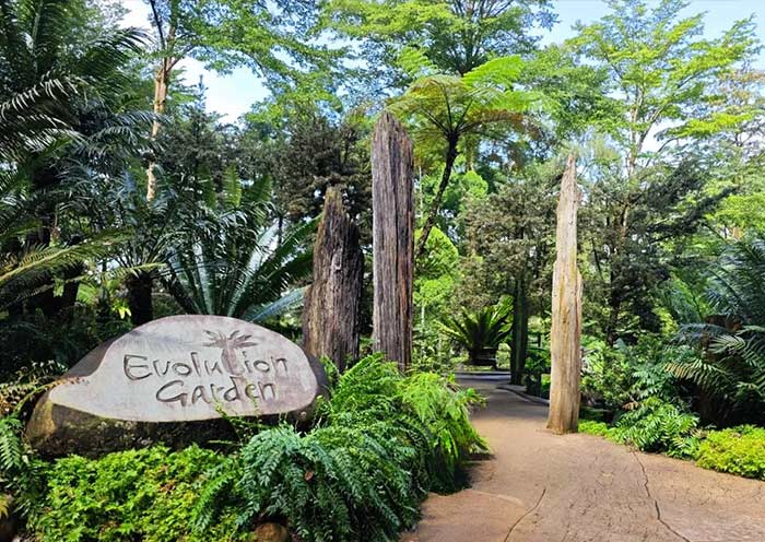 Evolution Garden, Singapore Botanic Gardens