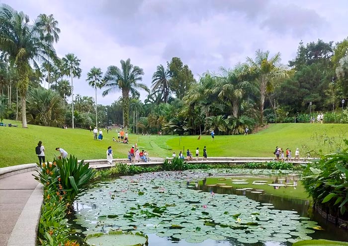 Meet Locals at Singapore Botanic Gardens