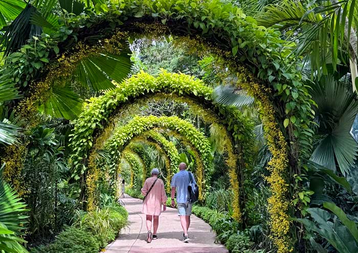 Hiking inside Singapore Botanic Gardens