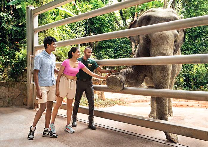 Singapore Incentive Travel to Singapore Zoo
